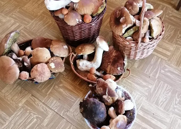 Apartamento Jura Chřibská
